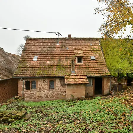Chez Oma, La Petite Ferme Hébergement de vacances Weinbourg